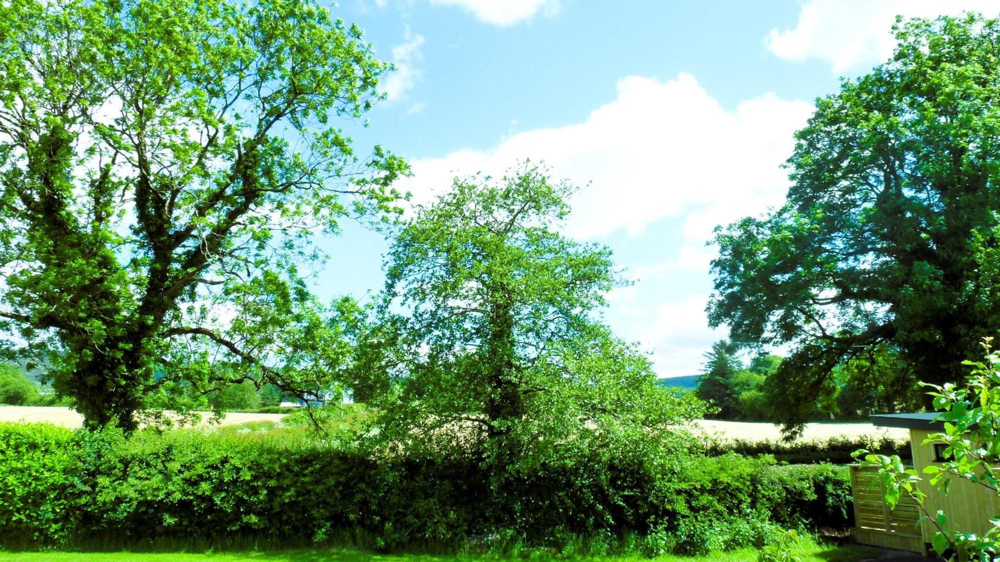 An Garrai Mor Campsite *